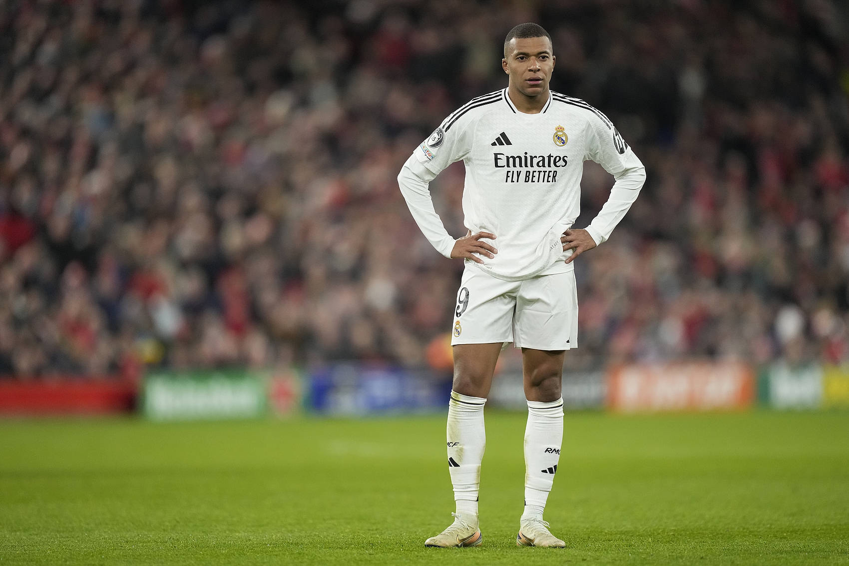 F1车手市场最新动向：哈贾尔顺利取代角田裕毅，红牛阵容迎来重要调整